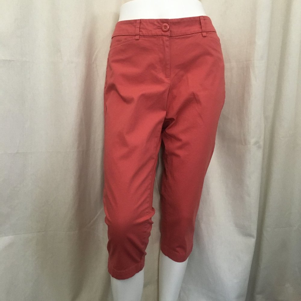 Ann Taylor Loft Original Crop